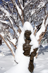 GardenSnow1 copy.jpg